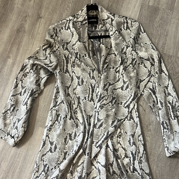 Express Snakeskin Jacket - Picture 1 of 6